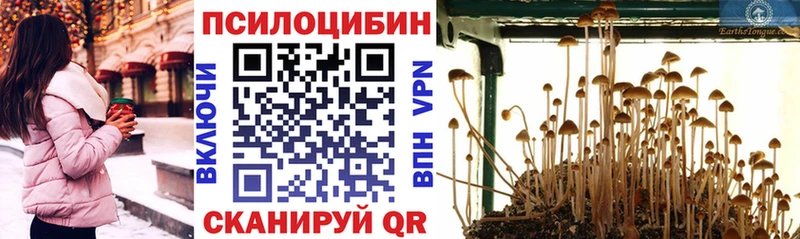 Псилоцибиновые грибы мухоморы  МЕГА ССЫЛКА  Инза 